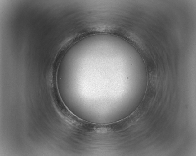 X0000070360587200606121211