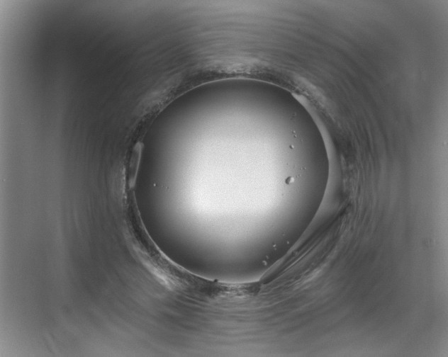 X0000070360589200606121211