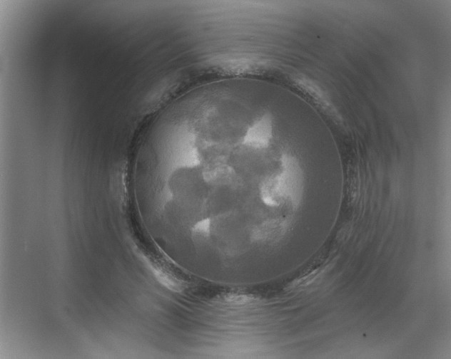 X0000070360590200606121211