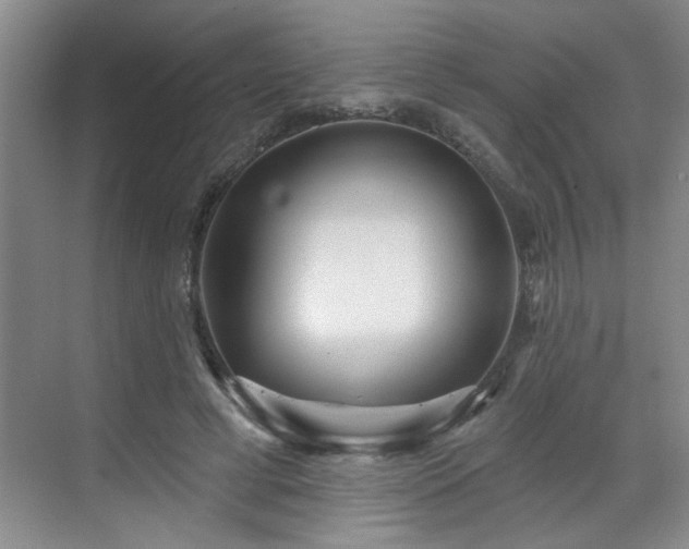 X0000070360593200606121211