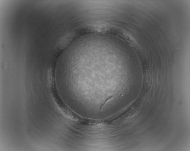 X0000070360594200606121211