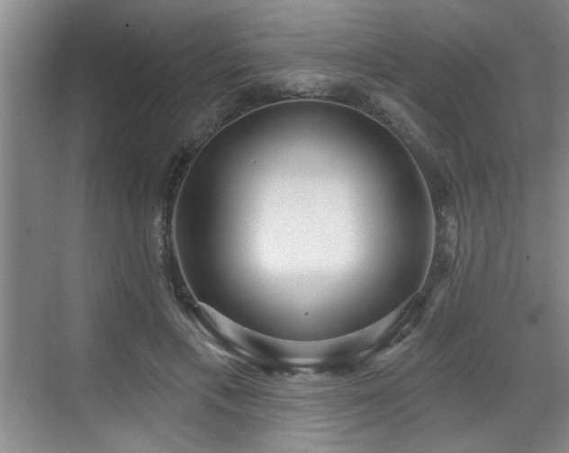 X0000070360597200606121211