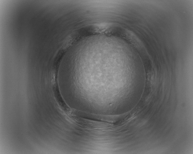 X0000070360602200606121211