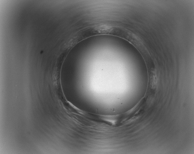 X0000070360604200606121211