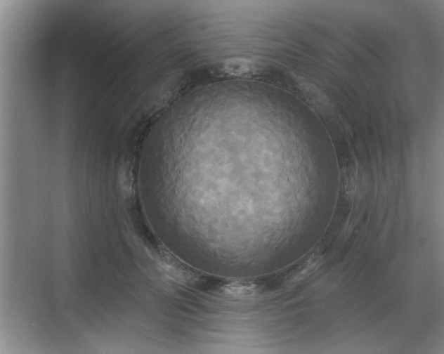 X0000070360606200606121211