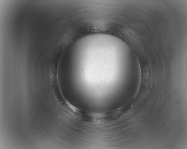 X0000070360608200606121211