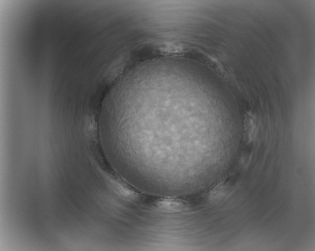 X0000070360614200606121211