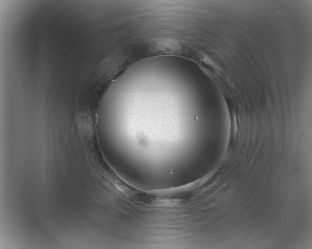 X0000070360617200606121211