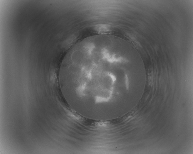 X0000070360618200606121211