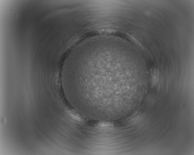 X0000070360619200606121211