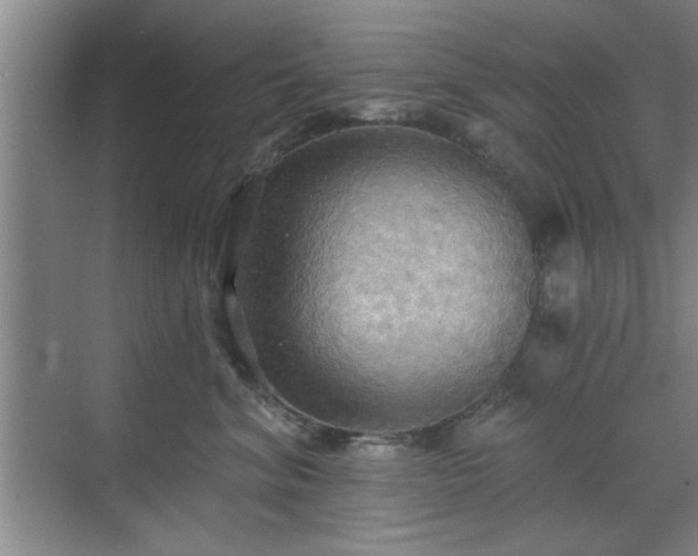 X0000070360620200606121211