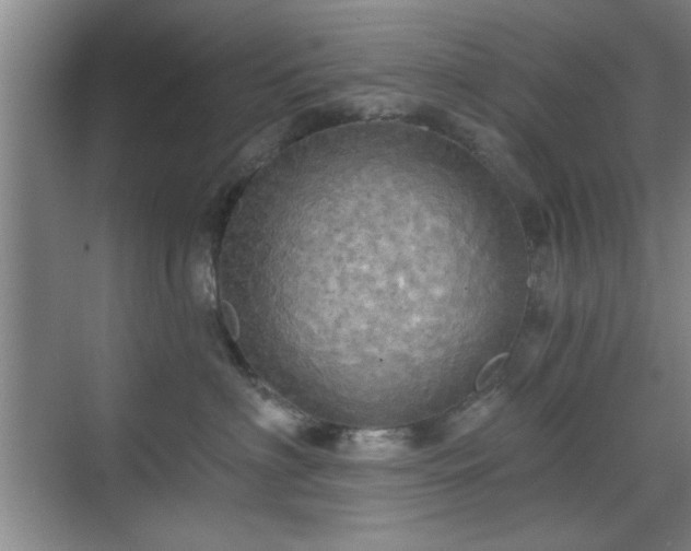 X0000070360622200606121211