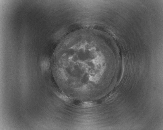 X0000070360623200606121211