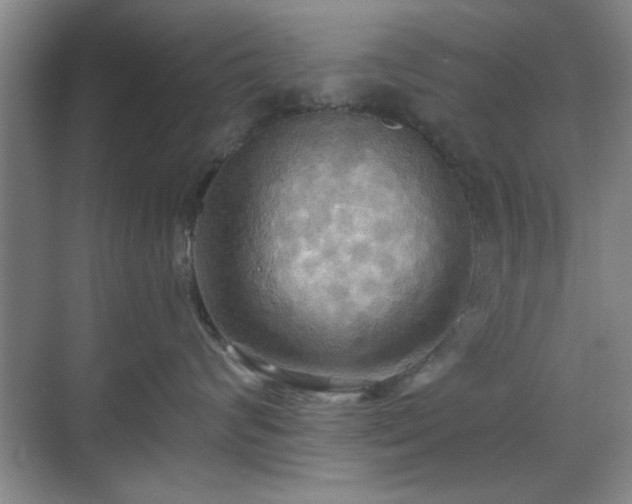 X0000070360624200606121211