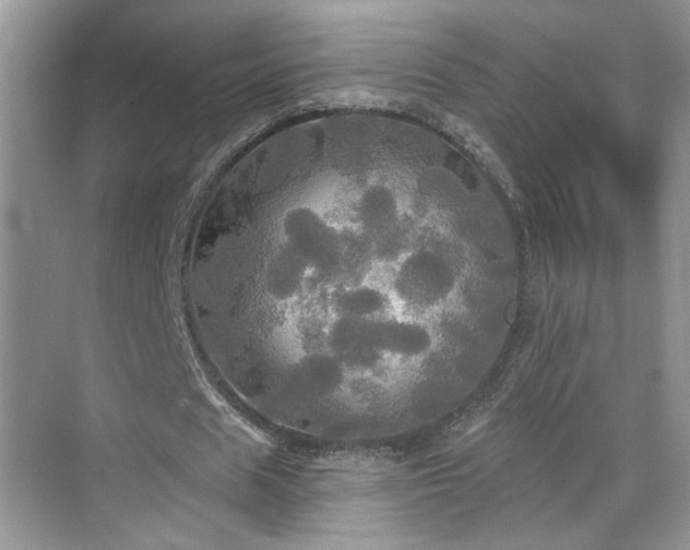 X0000070360625200606121210