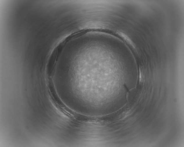 X0000070360627200606121210