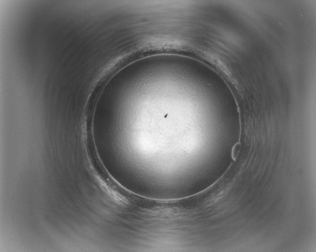 X0000070360629200606121210