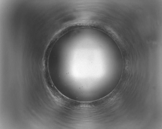 X0000070360636200606121210