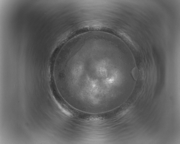 X0000070360638200606121210