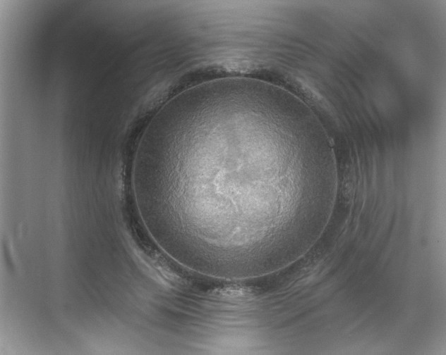 X0000070360639200606121210