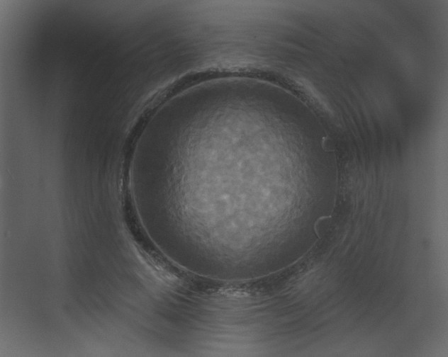 X0000070360640200606121210