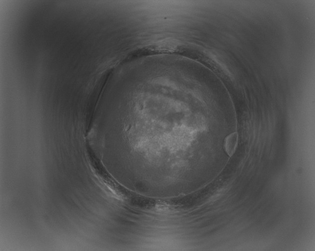 X0000070360641200606121210