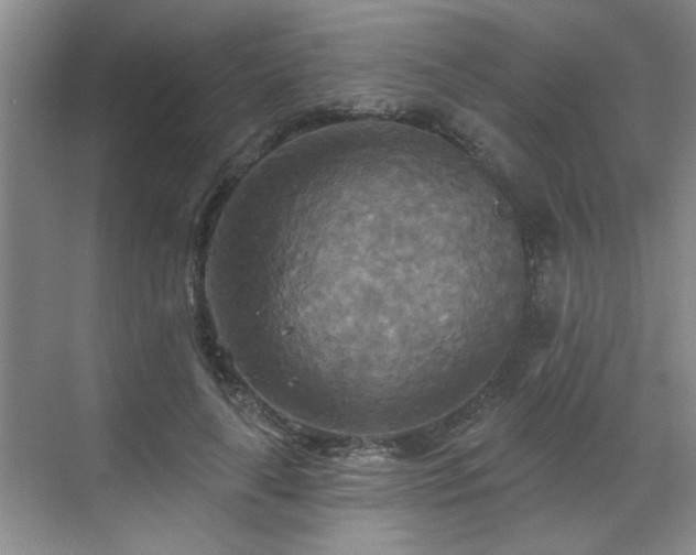 X0000070360643200606121210