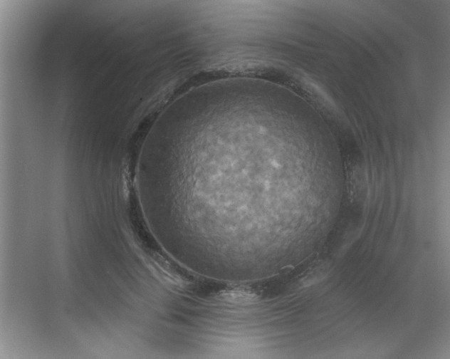 X0000070360644200606121210