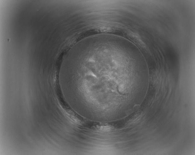 X0000070360645200606121210