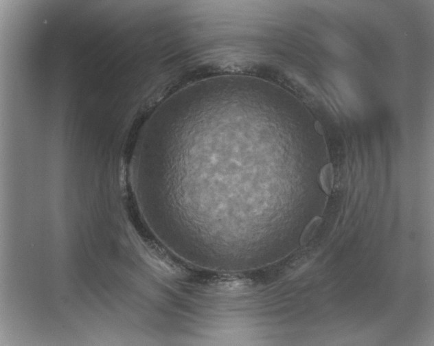 X0000070360646200606121210