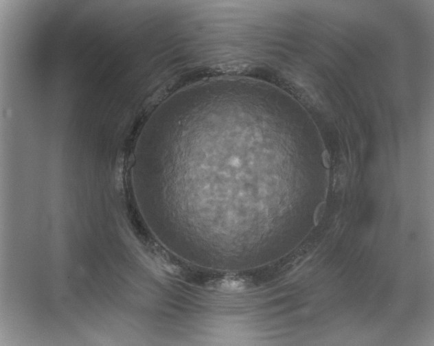 X0000070360647200606121210