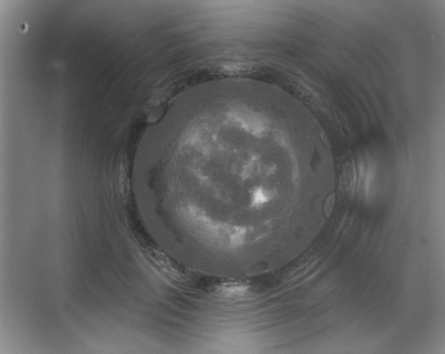 X0000070360651200606121210