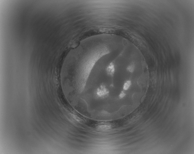 X0000070360653200606121210