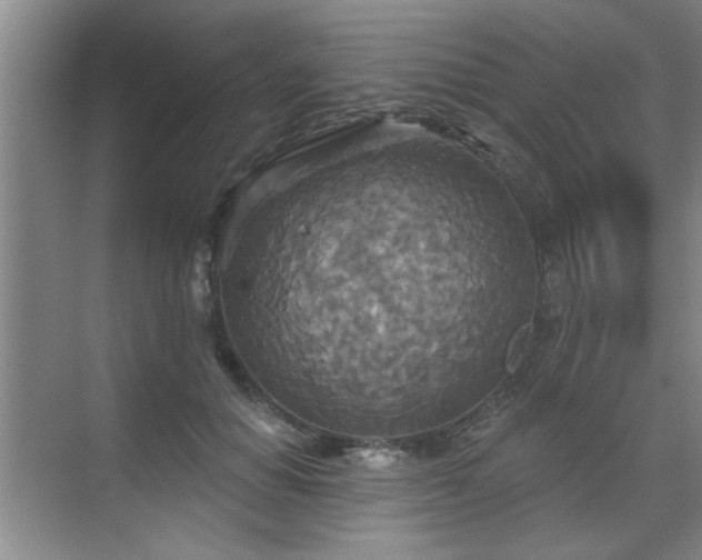 X0000070360654200606121210