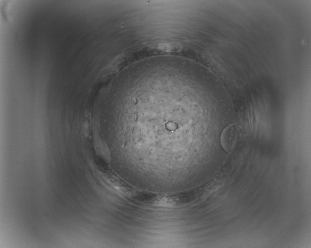 X0000070360656200606121210