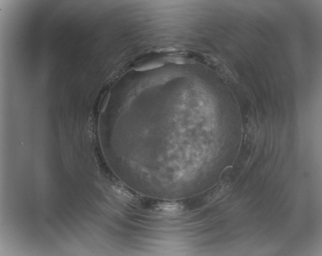 X0000070360659200606121210