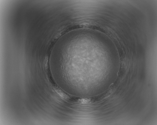 X0000070360660200606121210