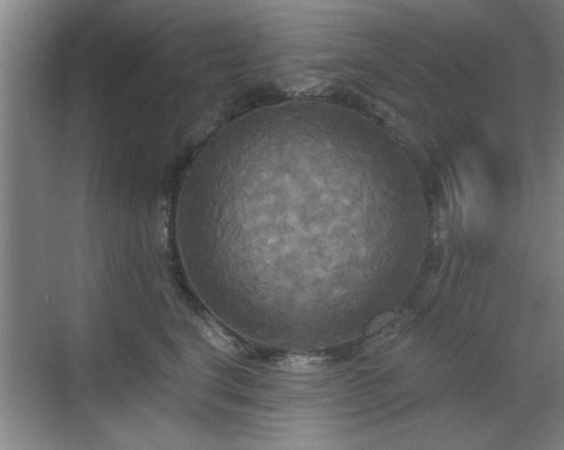 X0000070360664200606121210