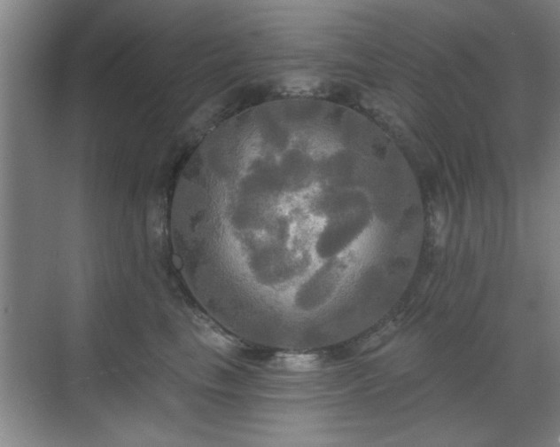 X0000070360665200606121210