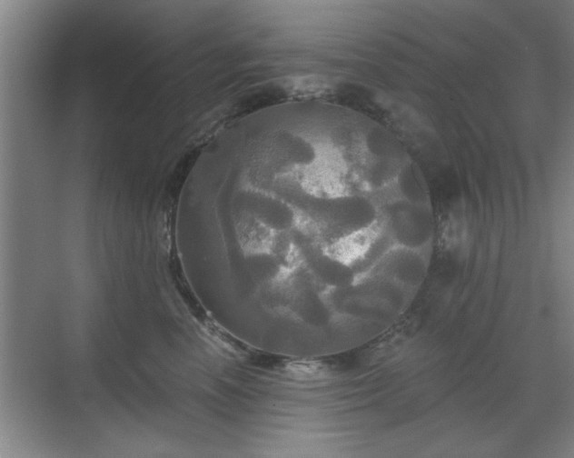 X0000070360666200606121210