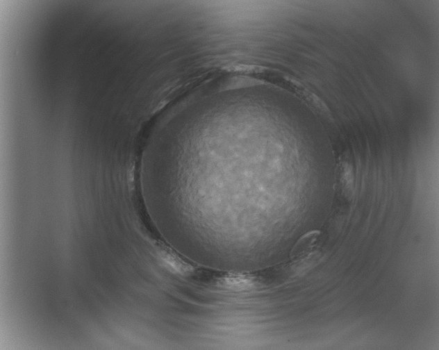 X0000070360668200606121210