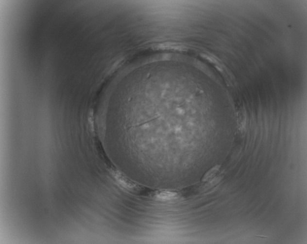 X0000070360669200606121211