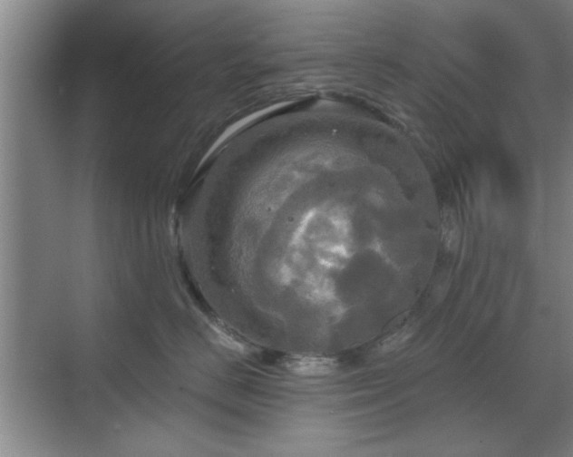 X0000070360670200606121211