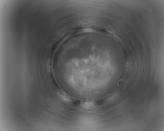 X0000070360671200606121211