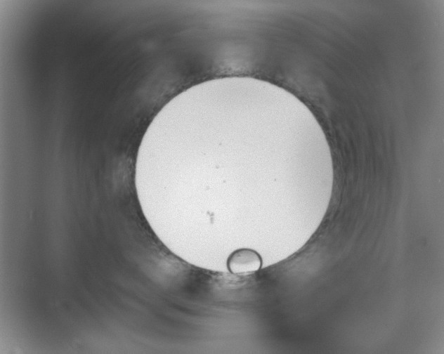 X0000070360672200606121211