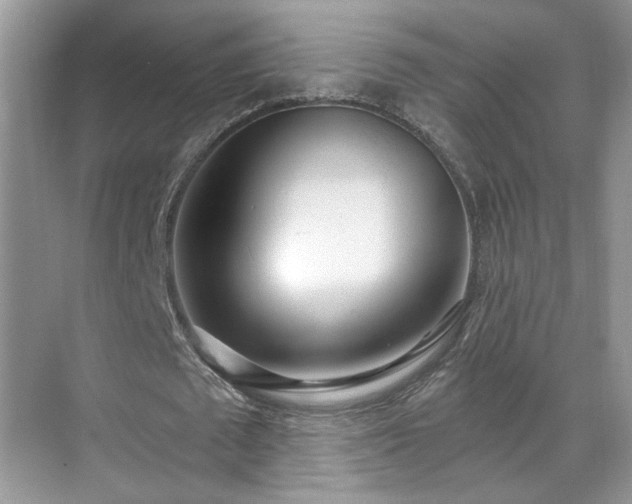 X0000070360673200606121210