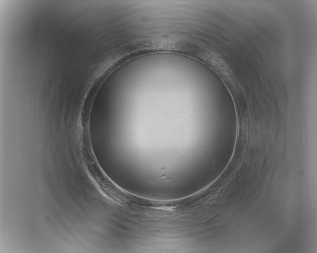 X0000070360674200606121210