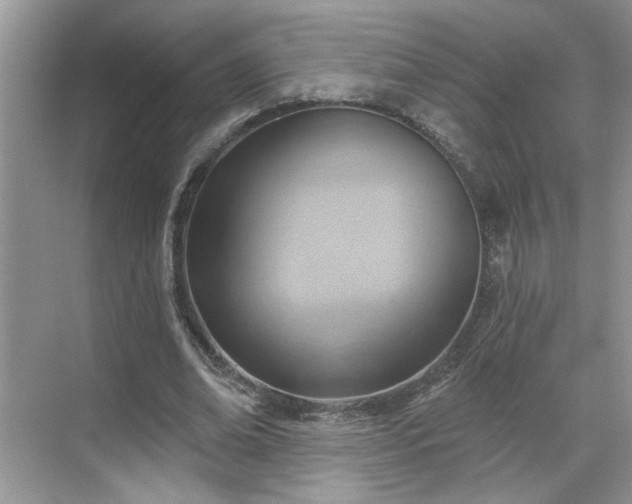 X0000070360678200606121210