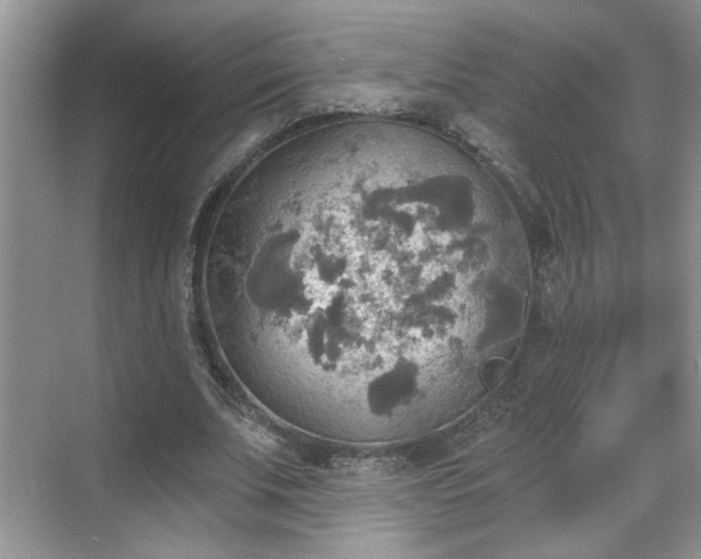 X0000070360679200606121210