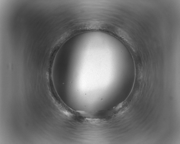 X0000070360681200606121210